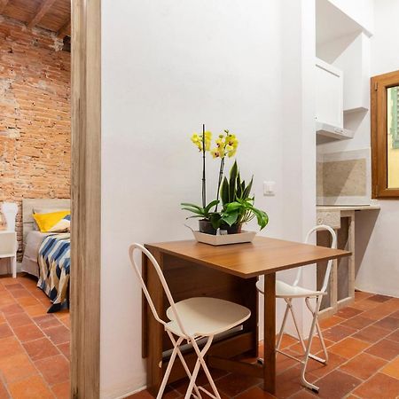 Central Cool Apt S. Spirito, Ac 佛罗伦萨 外观 照片