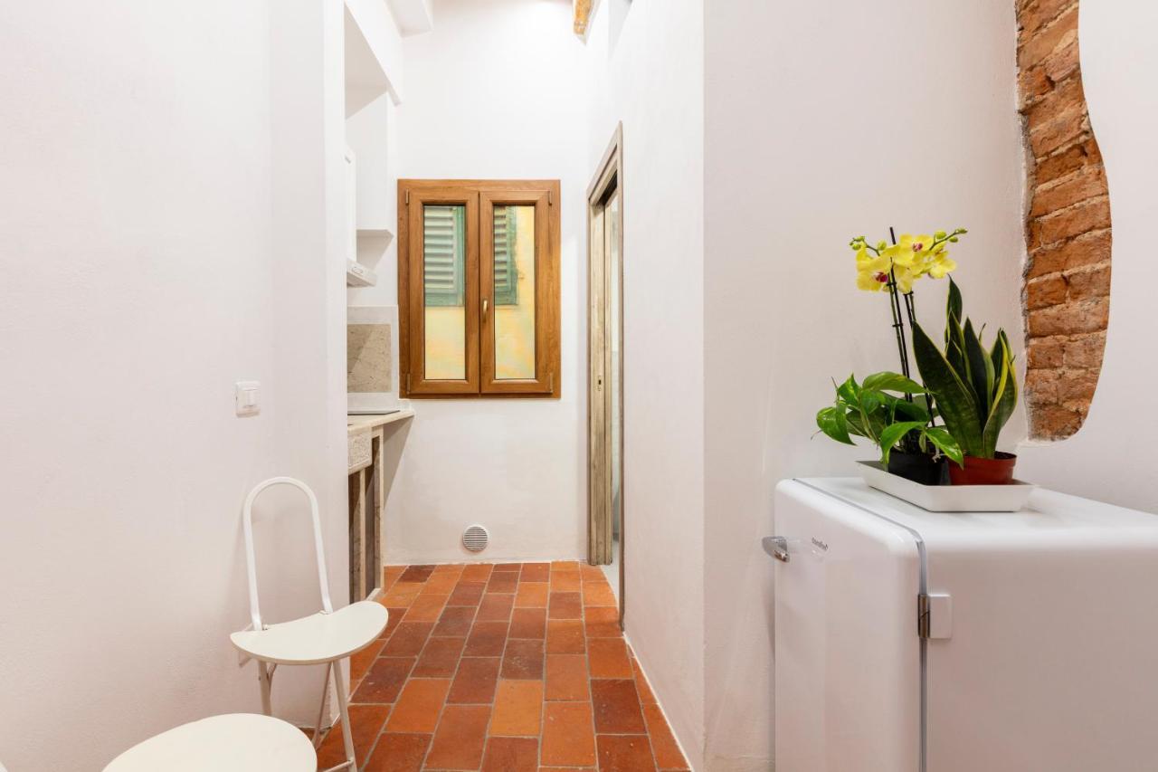Central Cool Apt S. Spirito, Ac 佛罗伦萨 外观 照片