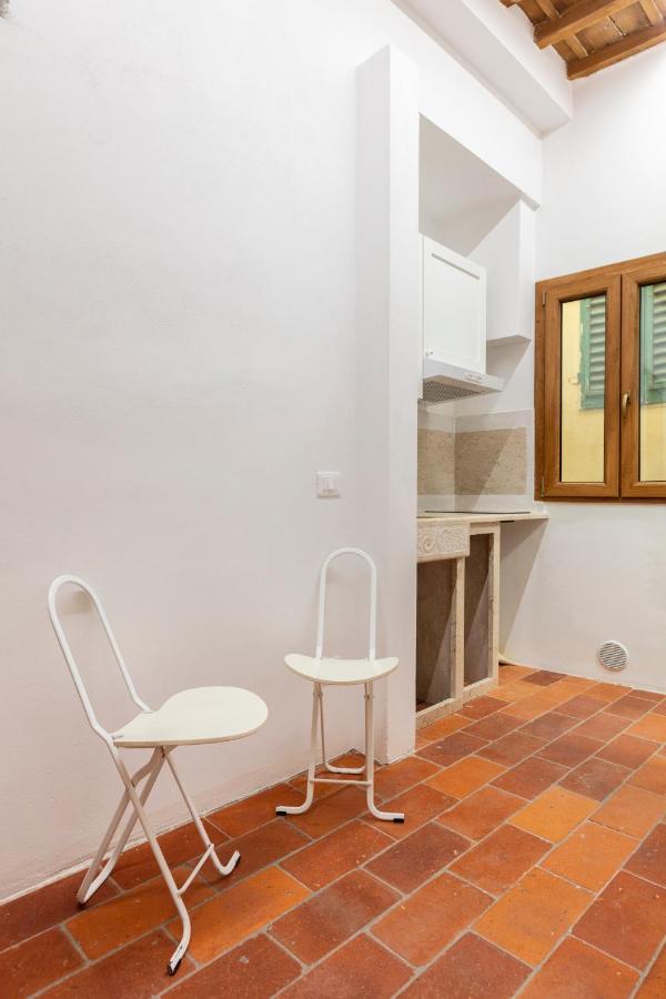 Central Cool Apt S. Spirito, Ac 佛罗伦萨 外观 照片