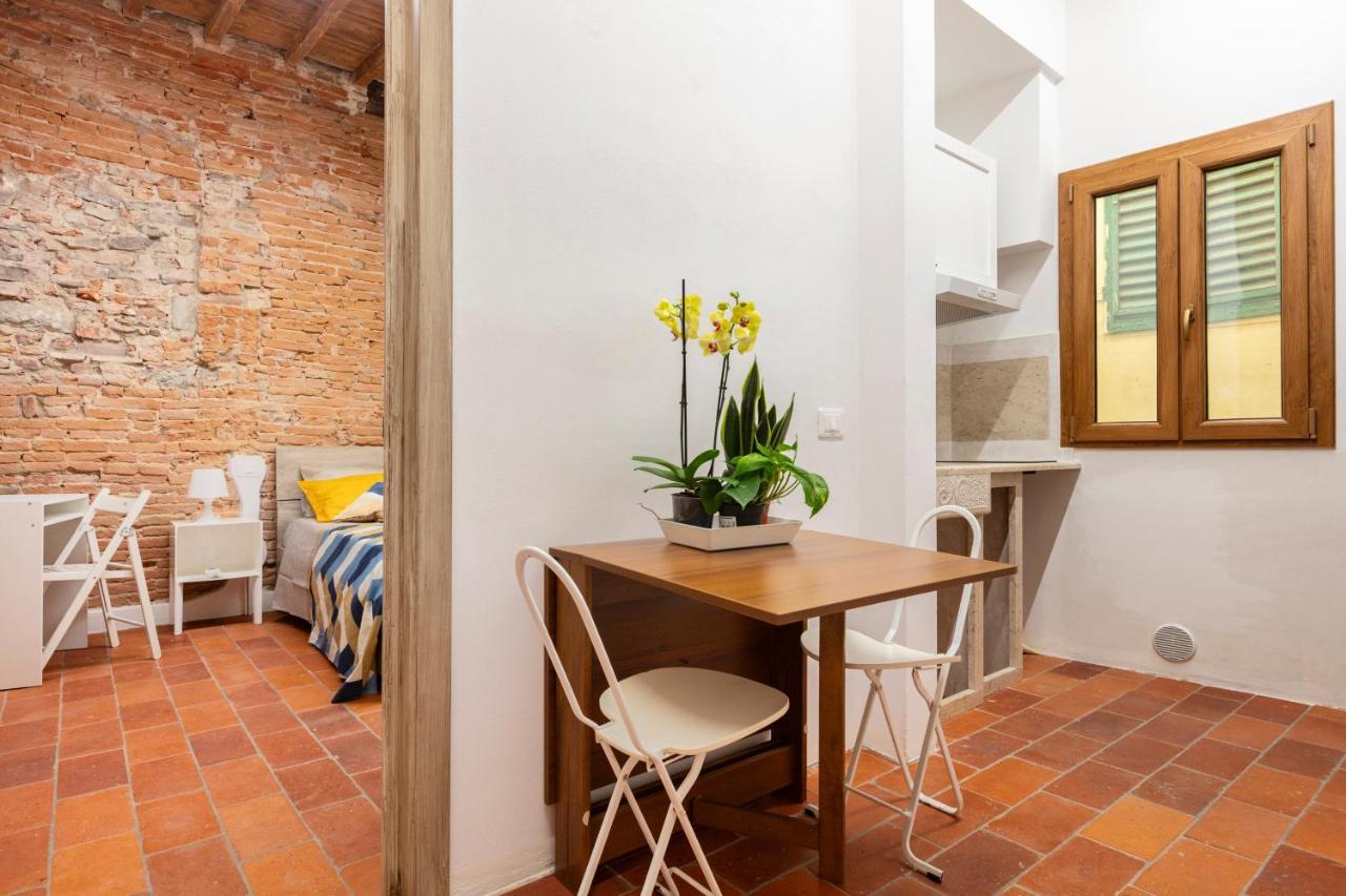 Central Cool Apt S. Spirito, Ac 佛罗伦萨 外观 照片